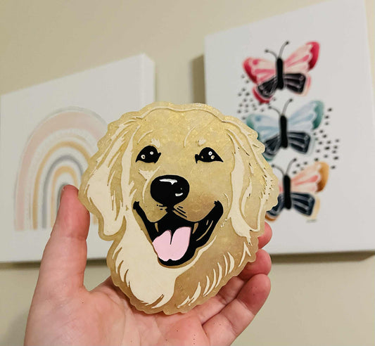 Golden Retriever freshie