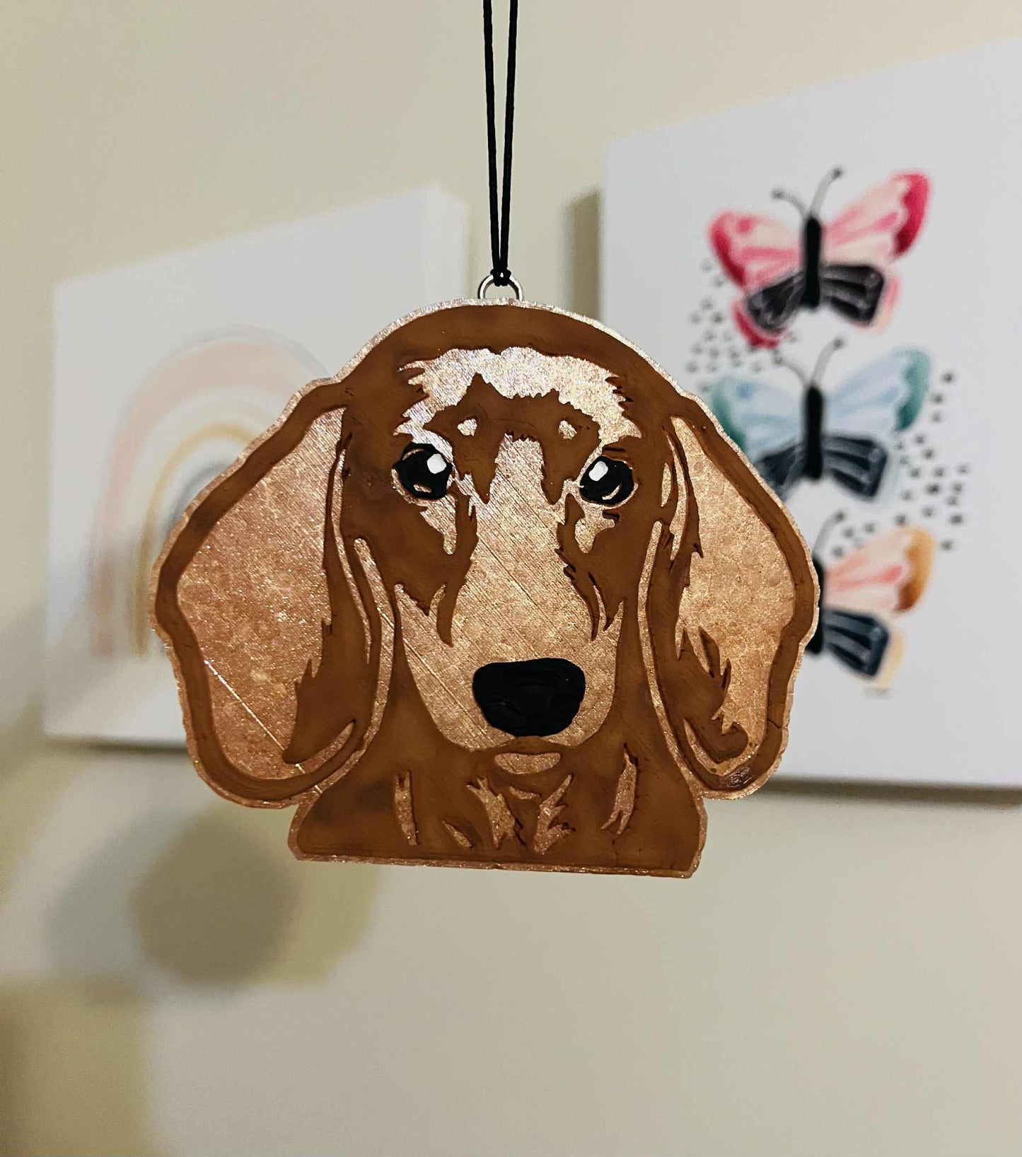 Dachshund freshie