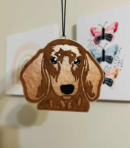 Dachshund freshie
